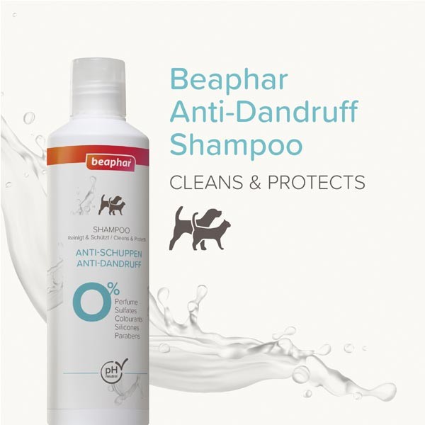 Beaphar Sensitive Skincare Anti-Dandruff Shampoo 250ml 2 Beaphar Sensitive Skincare Anti-Dandruff Shampoo 250ml - Image 2