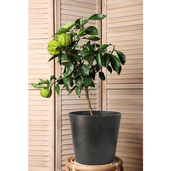Tierra Verde Octavia Slate Grey Eco Planter 28cm 4 Tierra Verde Octavia Slate Grey Eco Planter 28cm - Image 4