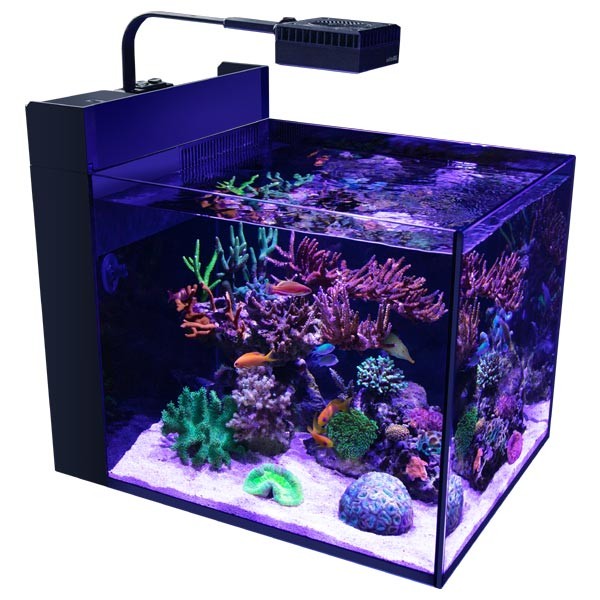 Red Sea Max Nano G2 Peninsula Aquarium 1 Red Sea Max Nano G2 Peninsula Aquarium