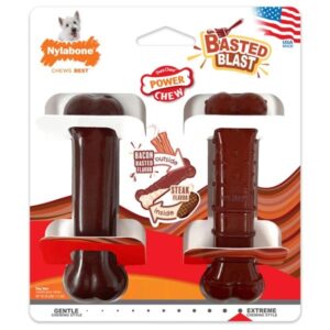 Nylabone Power Chew Basted Blast Dual Flavored Small