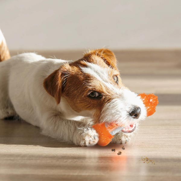 Nylabone Sneaky Snacker Bacon Medium 2 Nylabone Sneaky Snacker Bacon Medium - Image 2