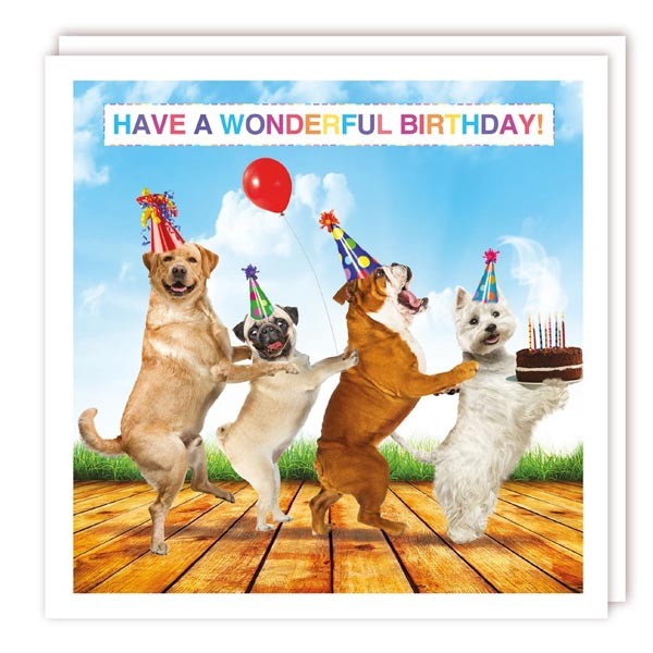 The Light Hearted Collection "Dog Conga" Happy Birthday Card 1 The Light Hearted Collection "Dog Conga" Happy Birthday Card
