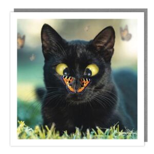 Walkies & Meow "Cross-Eyed Butterfly" Card