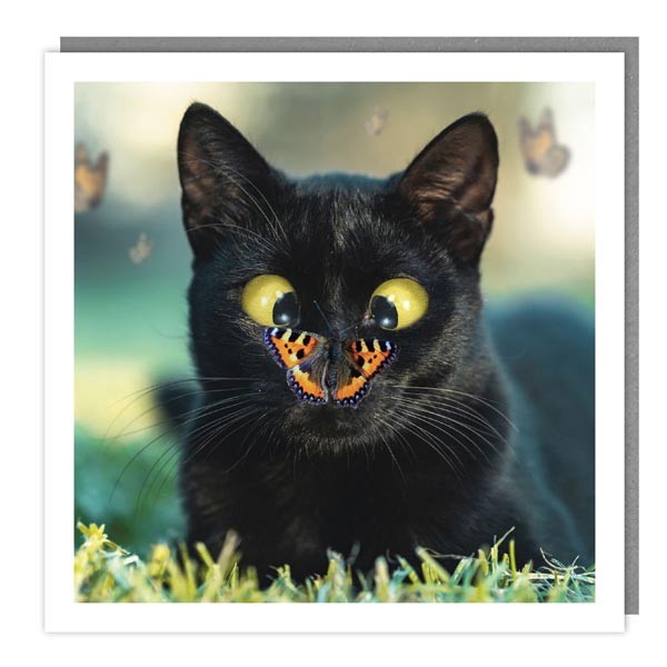 Walkies & Meow "Cross-Eyed Butterfly" Card 1 Walkies & Meow "Cross-Eyed Butterfly" Card
