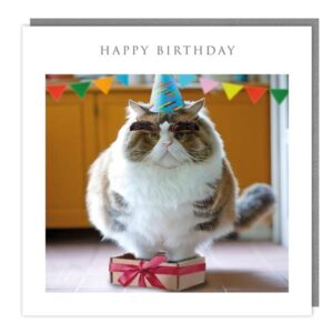 Walkies & Meow "If I Fits, I Sits" Happy Birthday Card