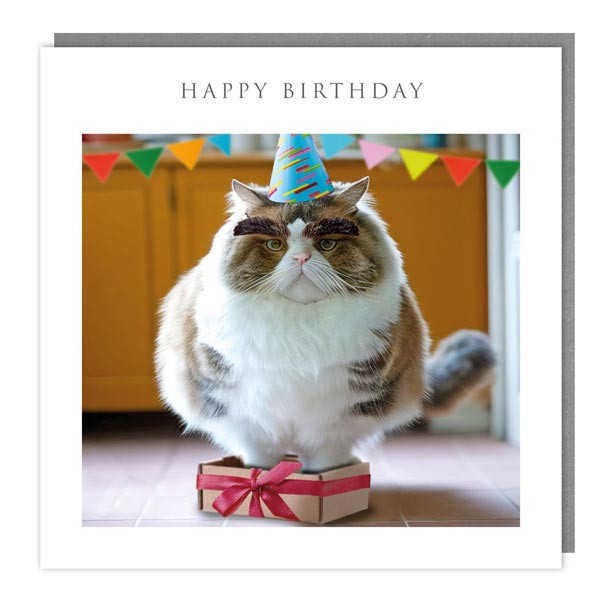 Walkies & Meow "If I Fits, I Sits" Happy Birthday Card 1 Walkies & Meow "If I Fits, I Sits" Happy Birthday Card