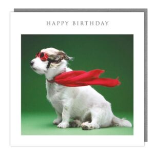 Walkies & Meow "Pawsitively Awesome" Happy Birthday Card