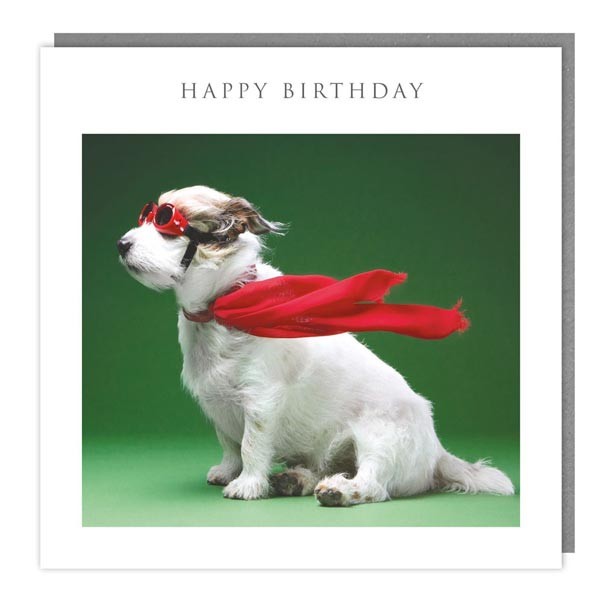Walkies & Meow "Pawsitively Awesome" Happy Birthday Card 1 Walkies & Meow "Pawsitively Awesome" Happy Birthday Card