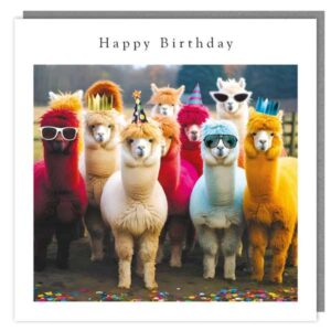 The Light Hearted Collection "Drama Llamas" Card