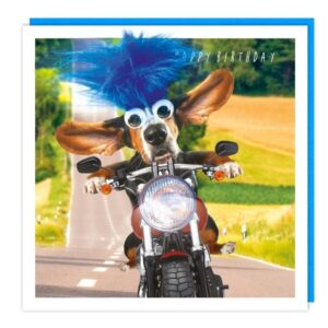 Fluff "Motorbike Dog" Birthday Card