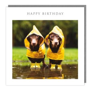 Walkies & Meow "Little Yellow Coats" Happy Birthday Card