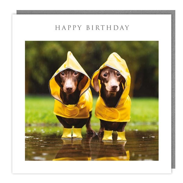 Walkies & Meow "Little Yellow Coats" Happy Birthday Card 1 Walkies & Meow "Little Yellow Coats" Happy Birthday Card