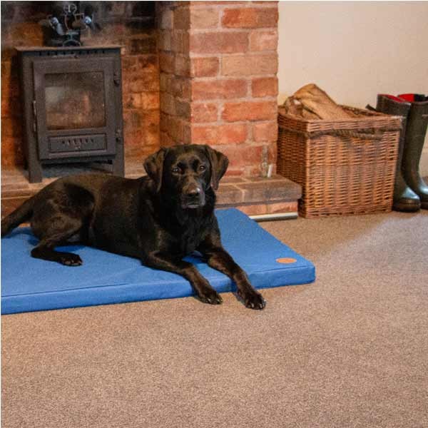 Ancol Sleepy Paws Performance Waterproof Pad Bed Blue 92 x 61cm 2 Ancol Sleepy Paws Performance Waterproof Pad Bed Blue 92 x 61cm - Image 2