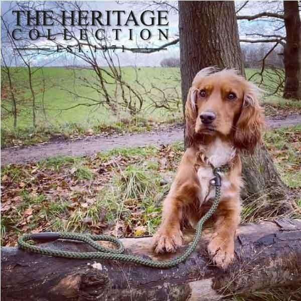 Ancol Heritage Rope Slip Lead Green 1.2m x 12mm 2 Ancol Heritage Rope Slip Lead Green 1.2m x 12mm - Image 2
