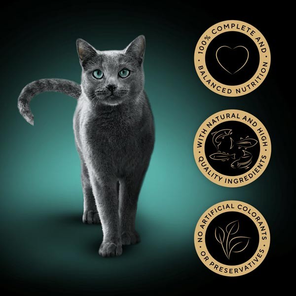 Sheba Sauce Collection Fish 40x85g Wet Cat Food 3 Sheba Sauce Collection Fish 40x85g Wet Cat Food - Image 3