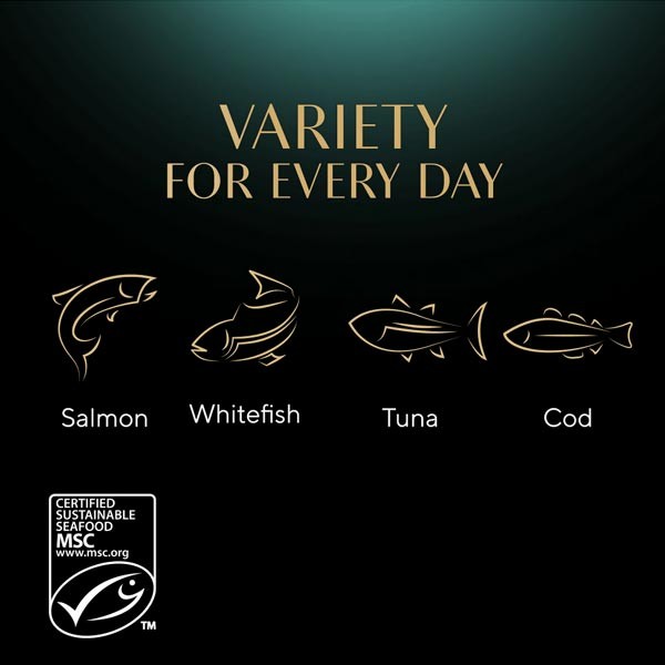 Sheba Sauce Collection Fish 40x85g Wet Cat Food 2 Sheba Sauce Collection Fish 40x85g Wet Cat Food - Image 2
