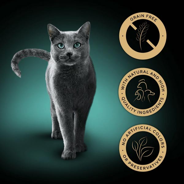 Sheba Nature's Collection Poultry in Jelly 40x85g Wet Cat Food 3 Sheba Nature's Collection Poultry in Jelly 40x85g Wet Cat Food - Image 3