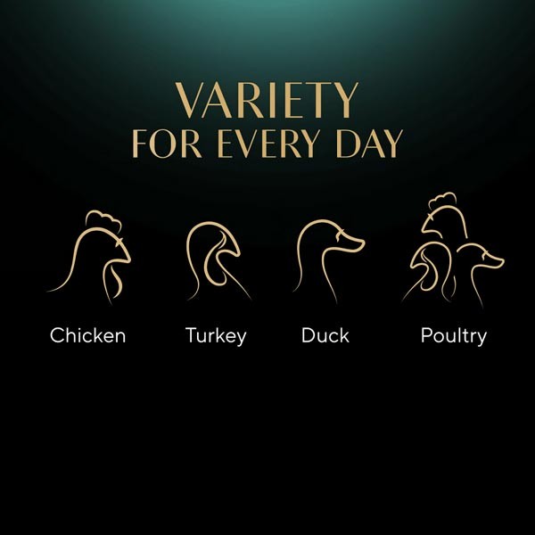 Sheba Nature's Collection Poultry in Jelly 40x85g Wet Cat Food 2 Sheba Nature's Collection Poultry in Jelly 40x85g Wet Cat Food - Image 2