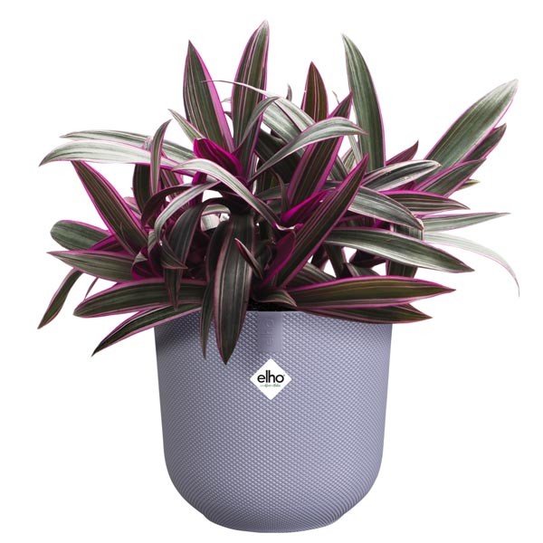 Elho Jazz Round Lavender Lilac 16cm Flower Pot 4 Elho Jazz Round Lavender Lilac 16cm Flower Pot - Image 4