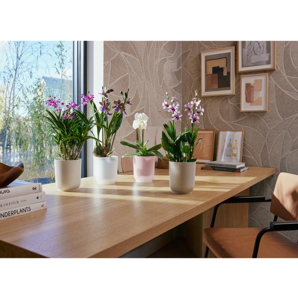 Elho Vibes Fold Orchid High Silky White 12.5cm Flower Pot 2 Elho Vibes Fold Orchid High Silky White 12.5cm Flower Pot - Image 2