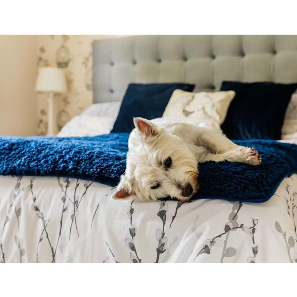 Pet Rebellion Comfy Cover Navy 100x170cm 3 Pet Rebellion Comfy Cover Navy 100x170cm - Image 3