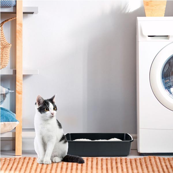 Ferplast Nip 10 Open Cat Litter Tray 2 Ferplast Nip 10 Open Cat Litter Tray - Image 2