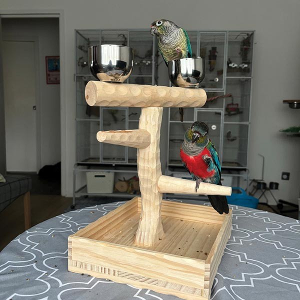 Northern Parrot Coffee Wood Table Top Stand Medium 2 Northern Parrot Coffee Wood Table Top Stand Medium - Image 2