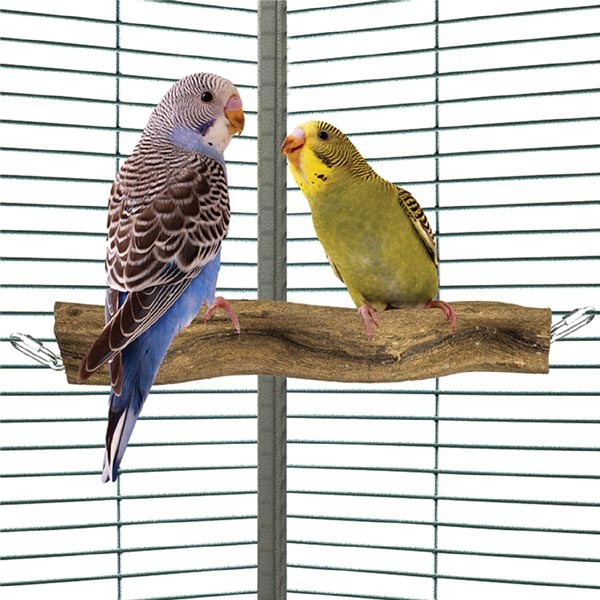 Northern Parrot Wavy Wood Wiggle Corner Perch Small 2 Northern Parrot Wavy Wood Wiggle Corner Perch Small - Image 2