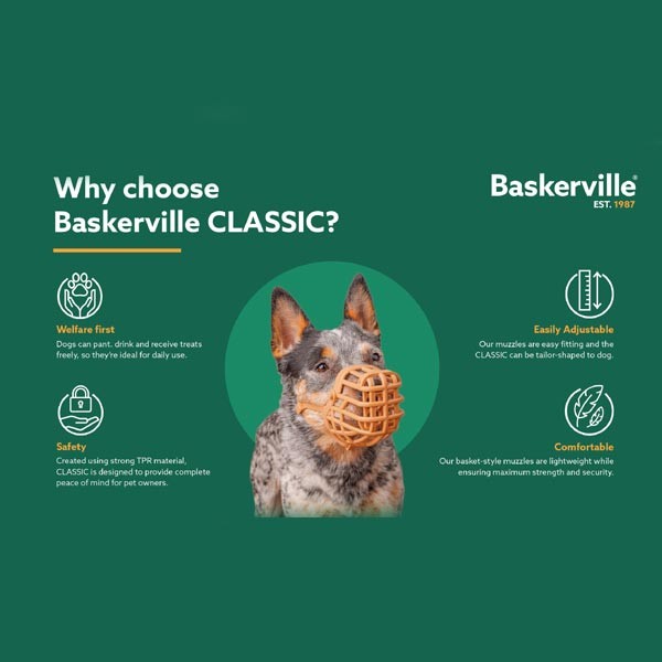 Company of Animals Baskerville Classic Basket Muzzle Size 4 (Westie) 5 Company of Animals Baskerville Classic Basket Muzzle Size 4 (Westie) - Image 5