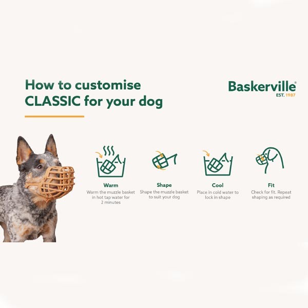 Company of Animals Baskerville Classic Basket Muzzle Size 4 (Westie) 3 Company of Animals Baskerville Classic Basket Muzzle Size 4 (Westie) - Image 3