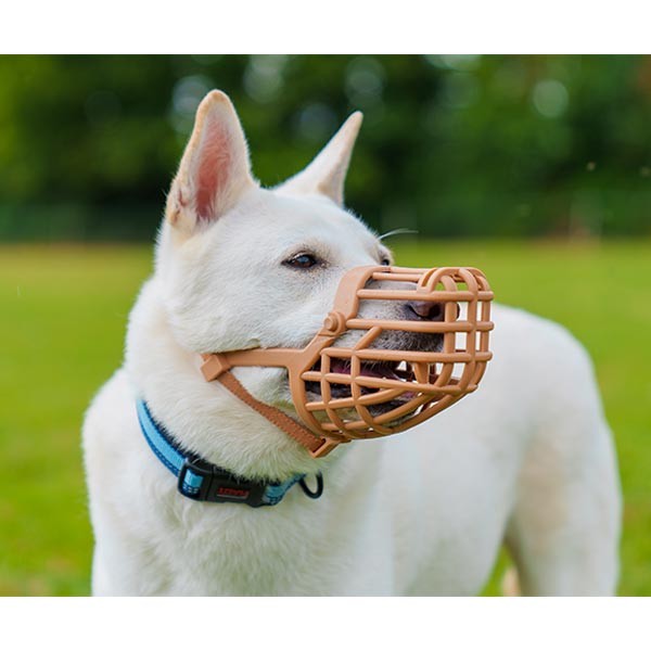 Company of Animals Baskerville Classic Basket Muzzle Size 10 (Great Dane) 11 Company of Animals Baskerville Classic Basket Muzzle Size 10 (Great Dane) - Image 11