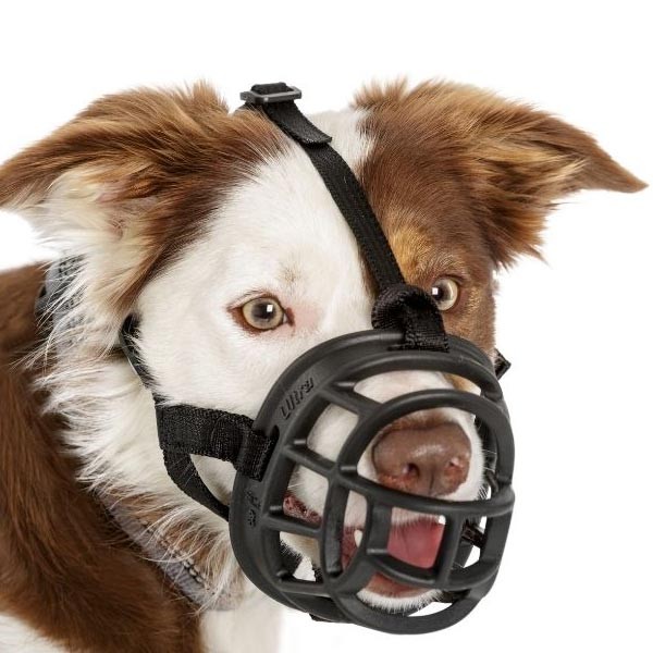 Company of Animals Baskerville Ultra Muzzle Size 2 (Westie) 9 Company of Animals Baskerville Ultra Muzzle Size 2 (Westie) - Image 9