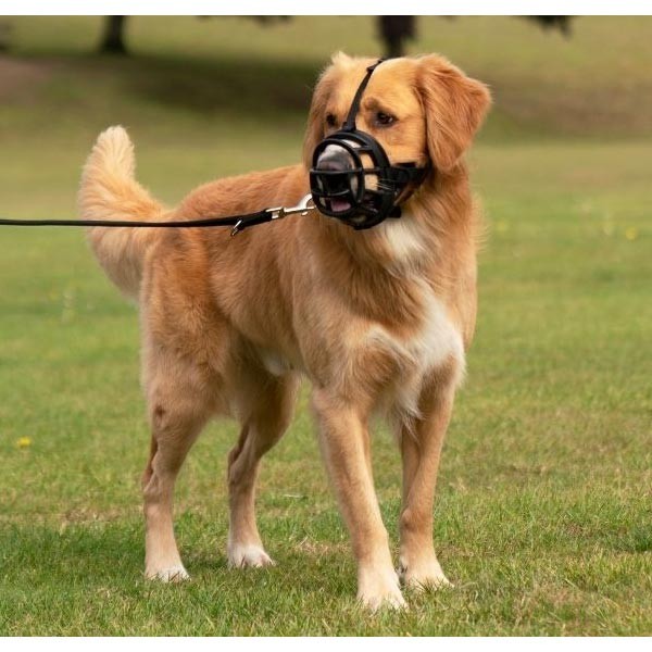 Company of Animals Baskerville Ultra Muzzle Size 1 (Border Terrier) 7 Company of Animals Baskerville Ultra Muzzle Size 1 (Border Terrier) - Image 7