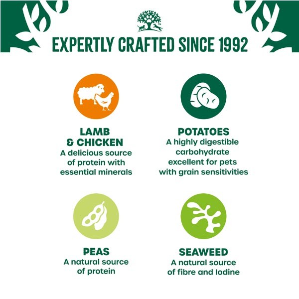 James Wellbeloved Grain Free Senior Lamb & Chicken in Gravy 12 x 90g Wet Dog Food 4 James Wellbeloved Grain Free Senior Lamb & Chicken in Gravy 12 x 90g Wet Dog Food - Image 4
