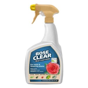 Clear