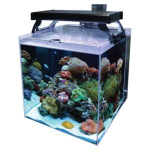 Aqua One NanoReef 35 Aquarium