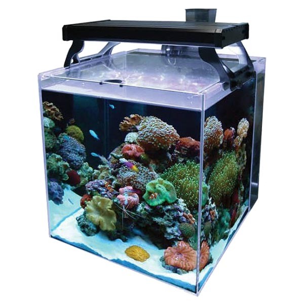 Aqua One NanoReef 35 Aquarium 1 Aqua One NanoReef 35 Aquarium