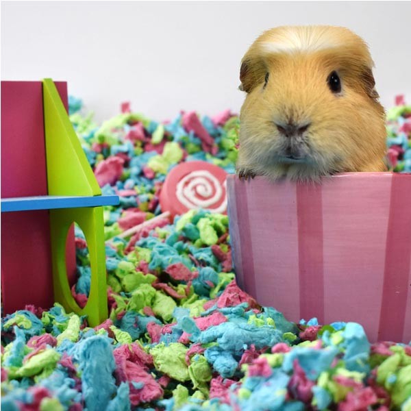 Carefresh Tutti Frutti Small Animal Bedding 10 Litres 2 Carefresh Tutti Frutti Small Animal Bedding 10 Litres - Image 2