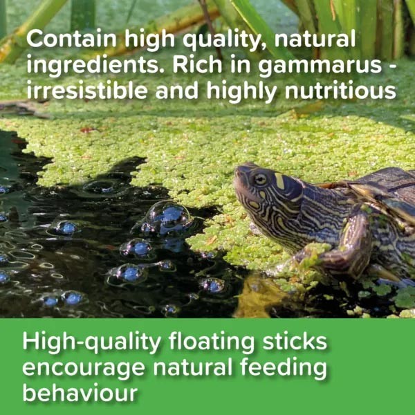 King British Turtle and Terrapin Food Sticks 90g 3 King British Turtle and Terrapin Food Sticks 90g - Image 3