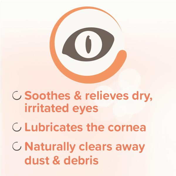 Beaphar Eye Gel for Cats, Dogs & Small Animals 5ml 2 Beaphar Eye Gel for Cats, Dogs & Small Animals 5ml - Image 2