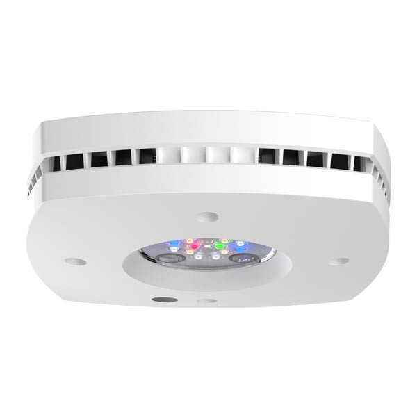 AI Prime Freshwater Lighting White 1 AI Prime Freshwater Lighting White