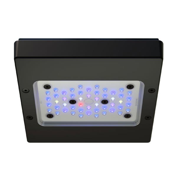 EcoTech Radion XR15 G6 Blue LED Lighting 1 EcoTech Radion XR15 G6 Blue LED Lighting