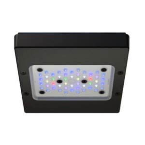 EcoTech Radion XR15 G6 Pro LED Lighting