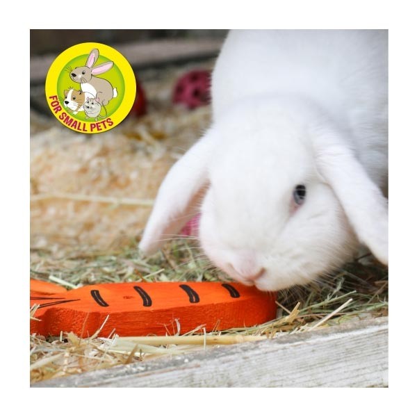 Just 4 Pets Carrot Cruncher Chew 2 Just 4 Pets Carrot Cruncher Chew - Image 2