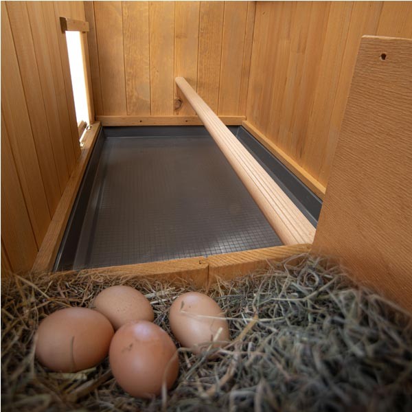 Ferplast Kocca 120 Wooden Hen House 4 Ferplast Kocca 120 Wooden Hen House - Image 4
