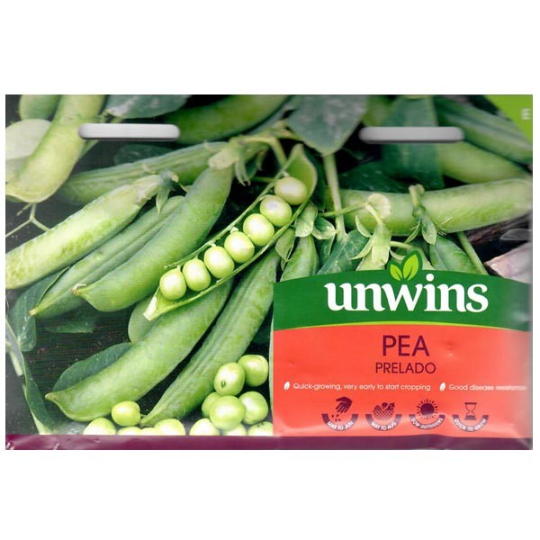 Unwins Pea Prelado Seeds 1 Unwins Pea Prelado Seeds