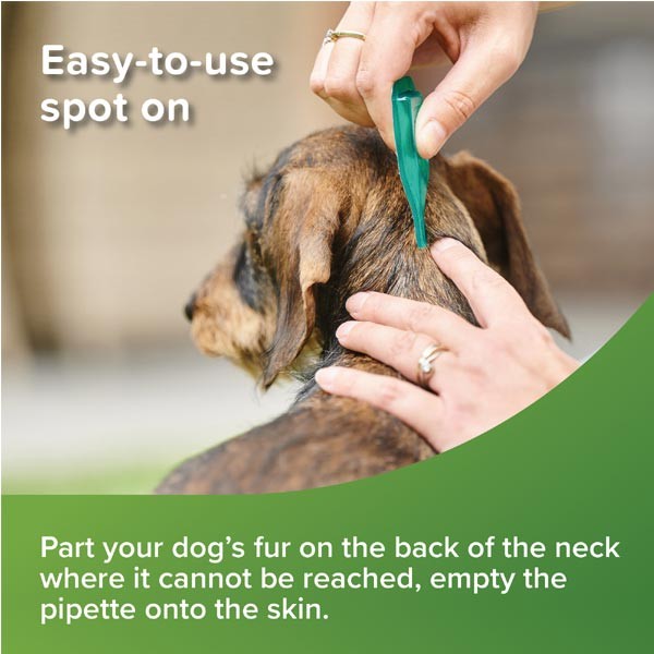 Beaphar VETOpure Plant-Based Protection Flea Spot-On for Dogs (Under 15kg) 3 pipettes 2 Beaphar VETOpure Plant-Based Protection Flea Spot-On for Dogs (Under 15kg) 3 pipettes - Image 2