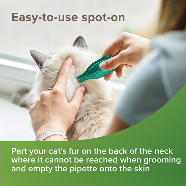 Beaphar VETOpure Plant-Based Protection Flea Spot-On for Cats 6 pipettes 2 Beaphar VETOpure Plant-Based Protection Flea Spot-On for Cats 6 pipettes - Image 2