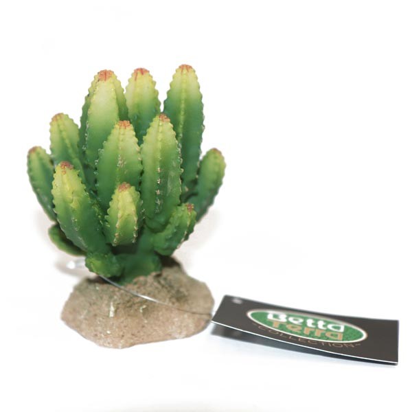 Betta Terra Small Green Cactus Plant Ornament 8cm 1 Betta Terra Small Green Cactus Plant Ornament 8cm