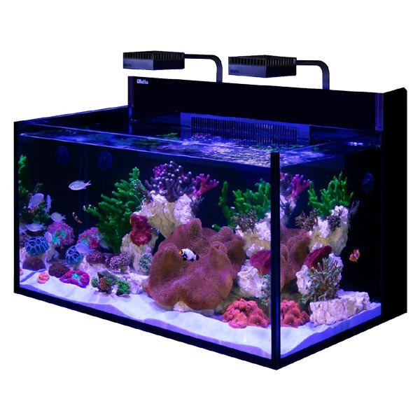 Red Sea Max Nano G2 XXL Aquarium 1 Red Sea Max Nano G2 XXL Aquarium